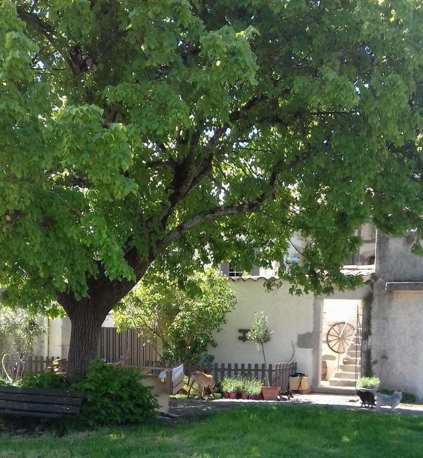 拉戈尔斯Le Patio Aux Hirondelles别墅 外观 照片